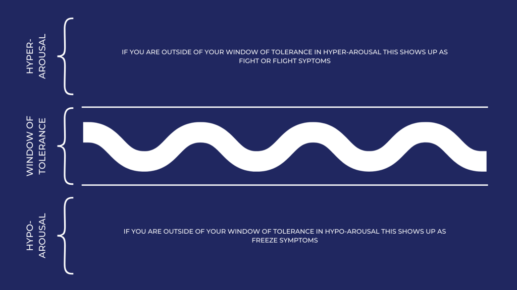 infographic for trauma responses window of tolerance by beatbox safe space